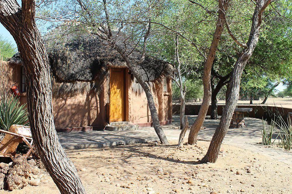 Harnas Wildlife Foundation Gobabis Εξωτερικό φωτογραφία